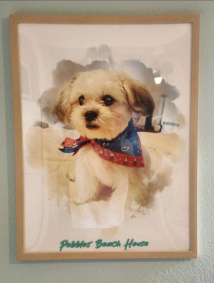 Pebbles' Beach House Edinburg Buitenkant foto
